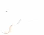 Homa Flap - 2208101160 Cover Of Door Hinge Lower