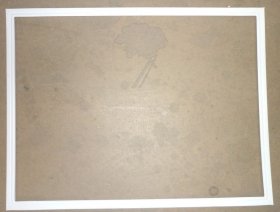 Refrigerator Door Seal - C00312571 481246688702 Magnetic Door Seal [Whirlpool Indesit]